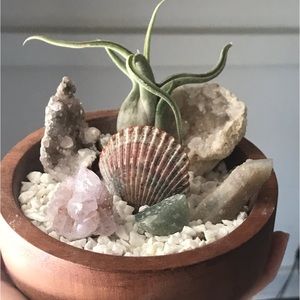 Handcrafted & Customized Crystal Gardens